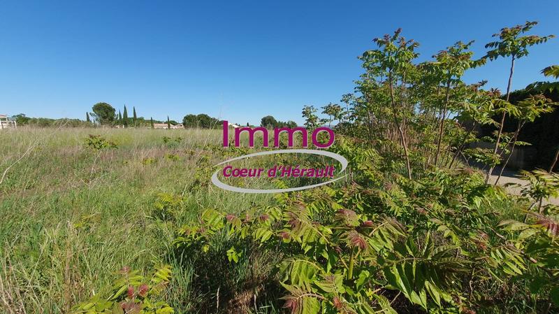 Terrain constructible - 777 m²