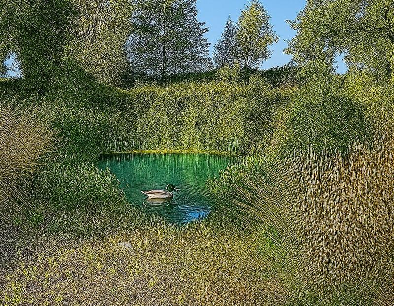 Propriété - 325 m² - 10 pièces