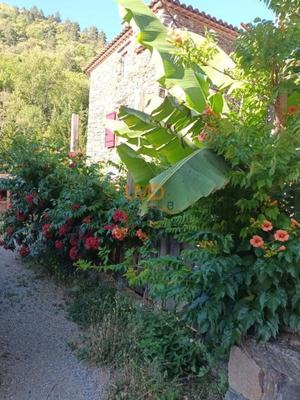 Mas - 162 m² - 10 pièces