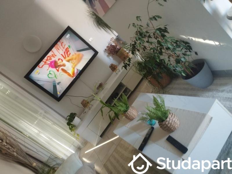 Chambre - 12 m² - 1 pièce