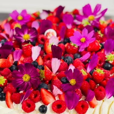 L'écureuil gourmand