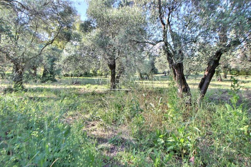 Terrain constructible - 2 000 m²
