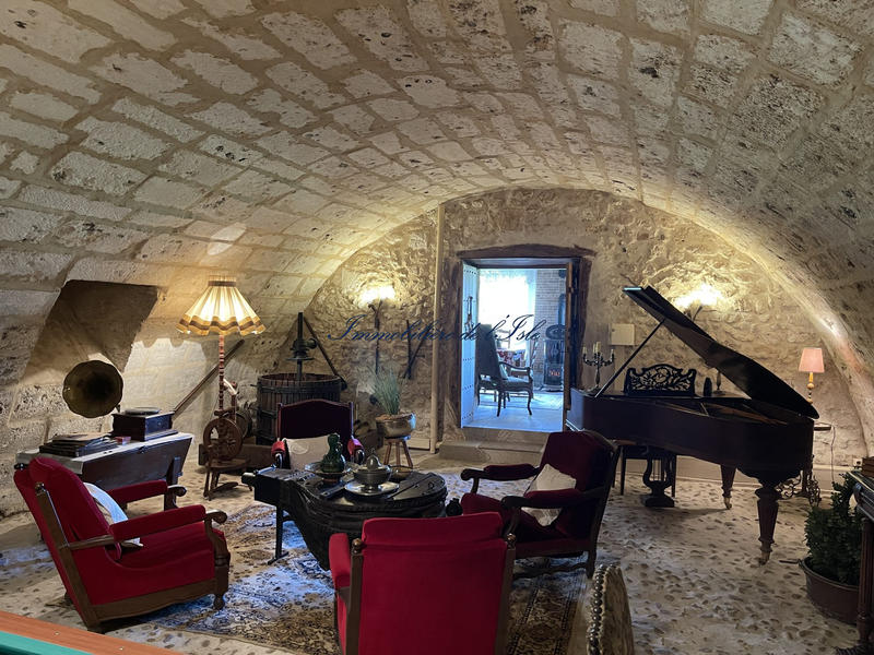 Maison - 396 m² - 13 pièces