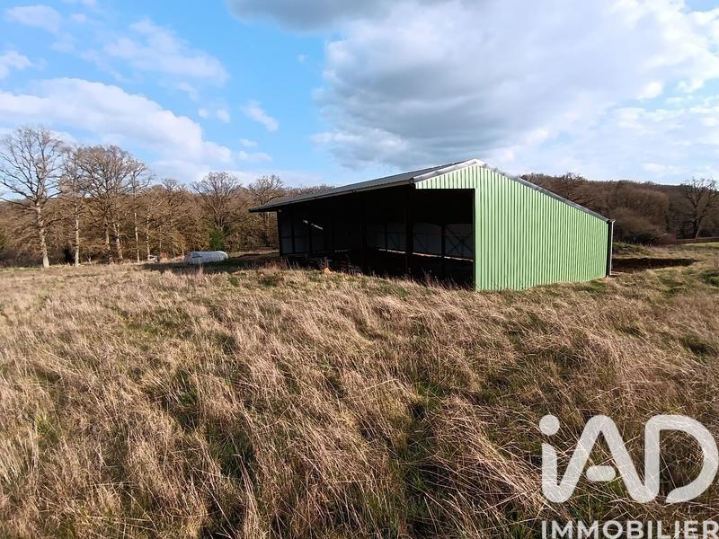 Terrain agricole - 11 588 m²