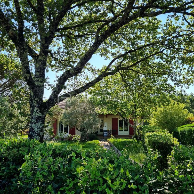 Maison d'architecte - 291 m² - 8 pièces