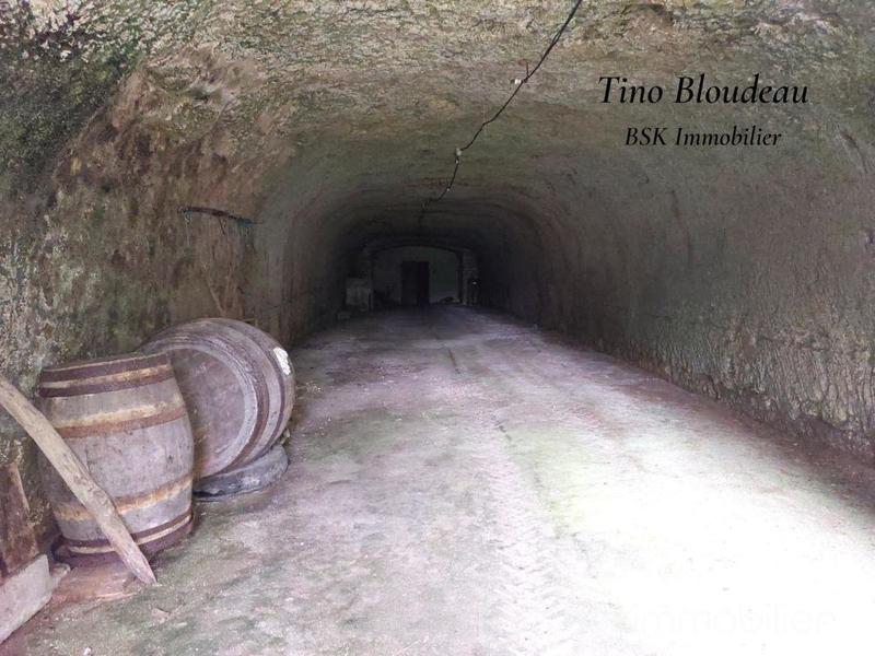 Maison - 165 m² - 1 pièce