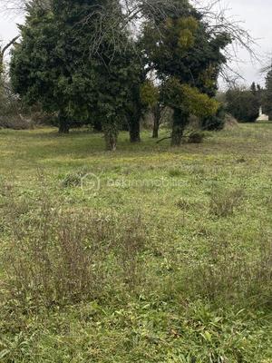 Terrain - 1 500 m²