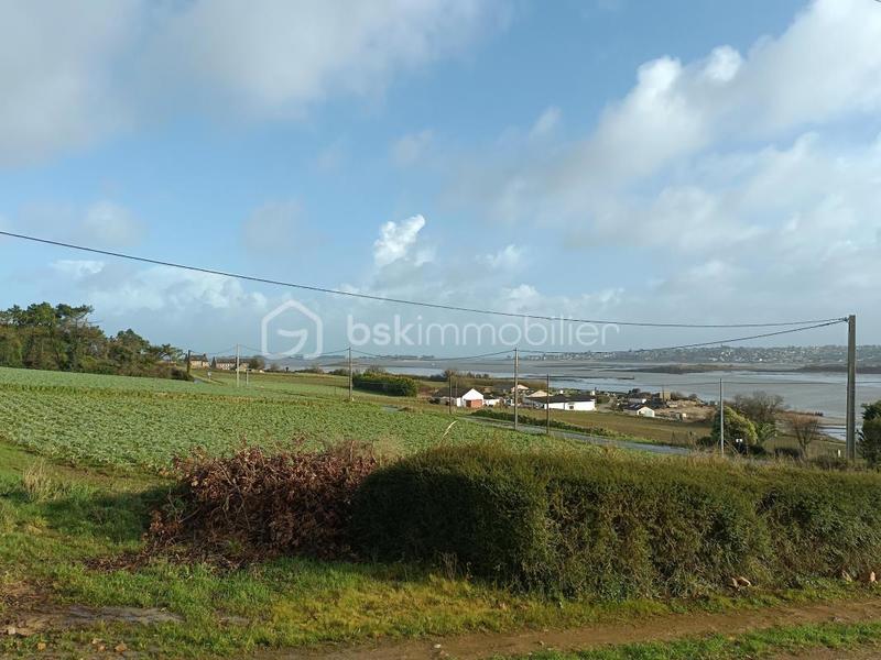 Maison en pierre - 137 m² - 6 pièces