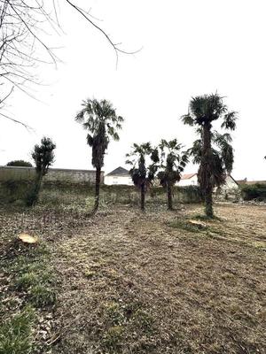 Terrain constructible - 1 700 m²