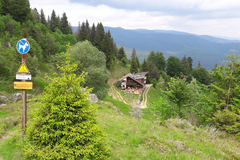Club Vosgien : le tour du Petit Hohneck