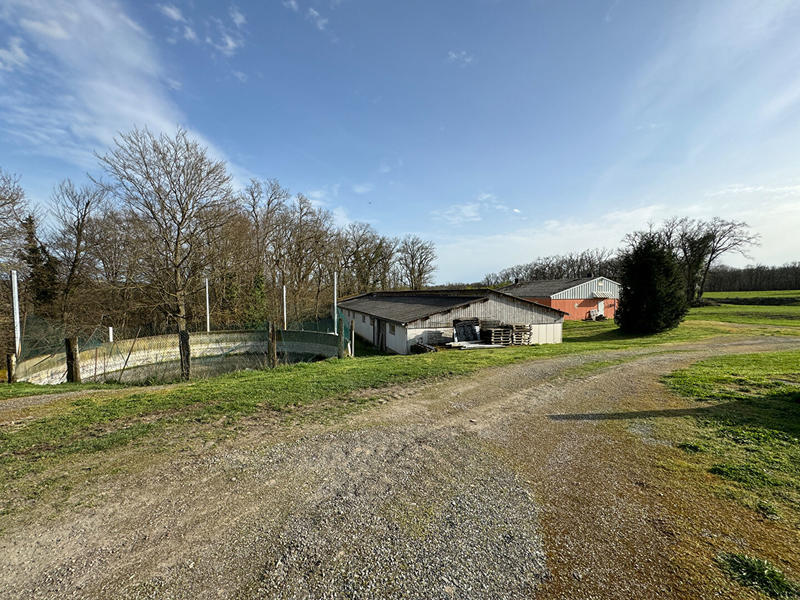 Local d'activité / Entrepôt - 4 518 m²