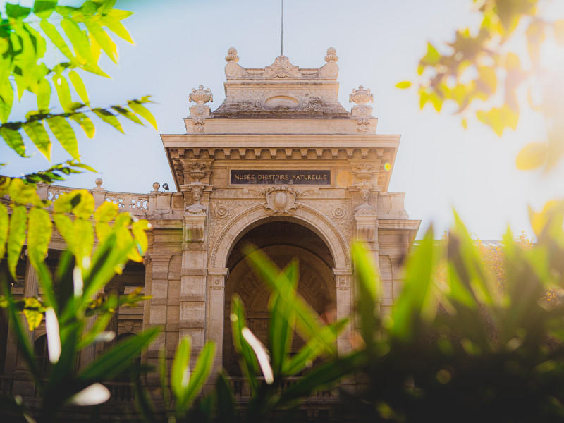 Visite guidée hors les murs "Marseille, Longchamp et l'eau"