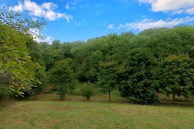 Terrain agricole - 33 821 m²