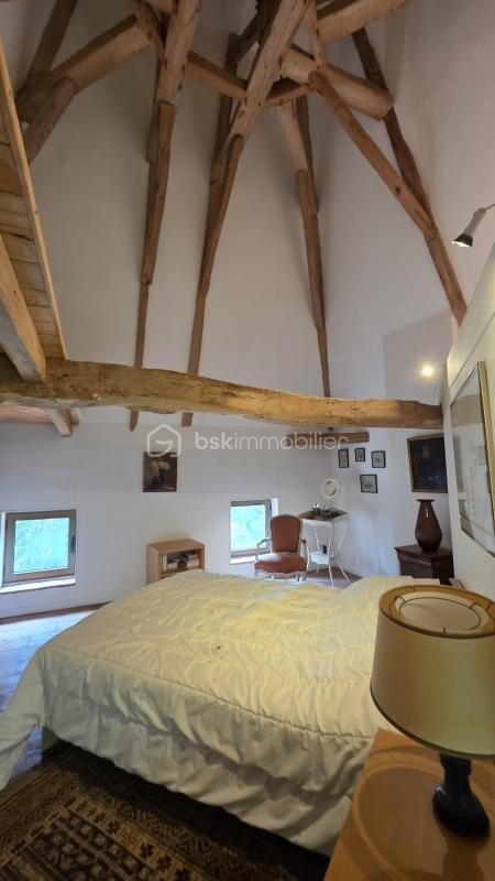 Moulin - 390 m² - 10 pièces