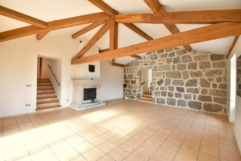 Maison en pierre - 251 m² - 10 pièces