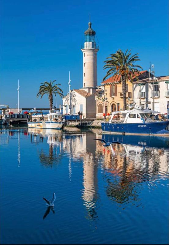 Studio - 23 m² - 1 pièce