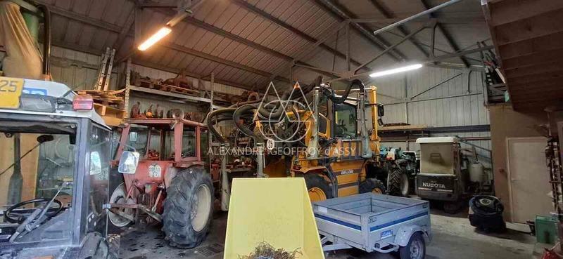 Propriété - 650 m² - 8 pièces