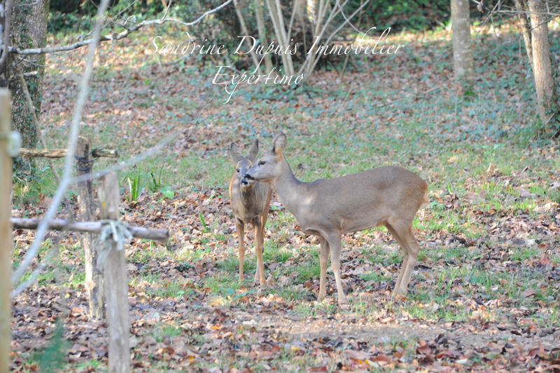 Maison - 155 m² - 6 pièces
