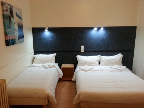 Adonis Lourdes Hotel du Dauphine