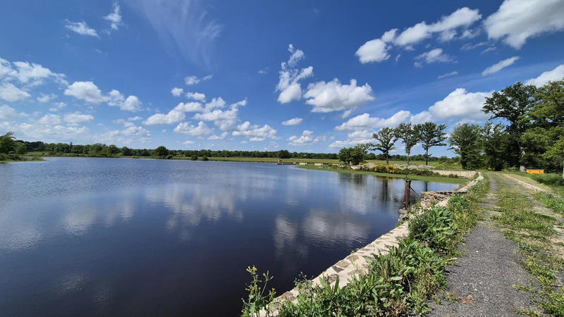 Terrain - 171 986 m²