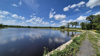 Terrain - 171 986 m²