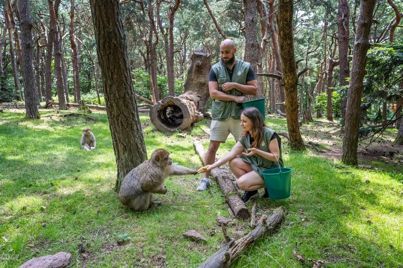 Visite privée et petit déjeuner avec les singes