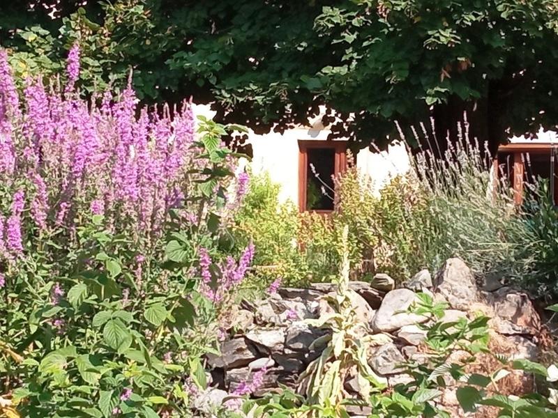 Maison traditionnelle - 180 m² - 7 pièces