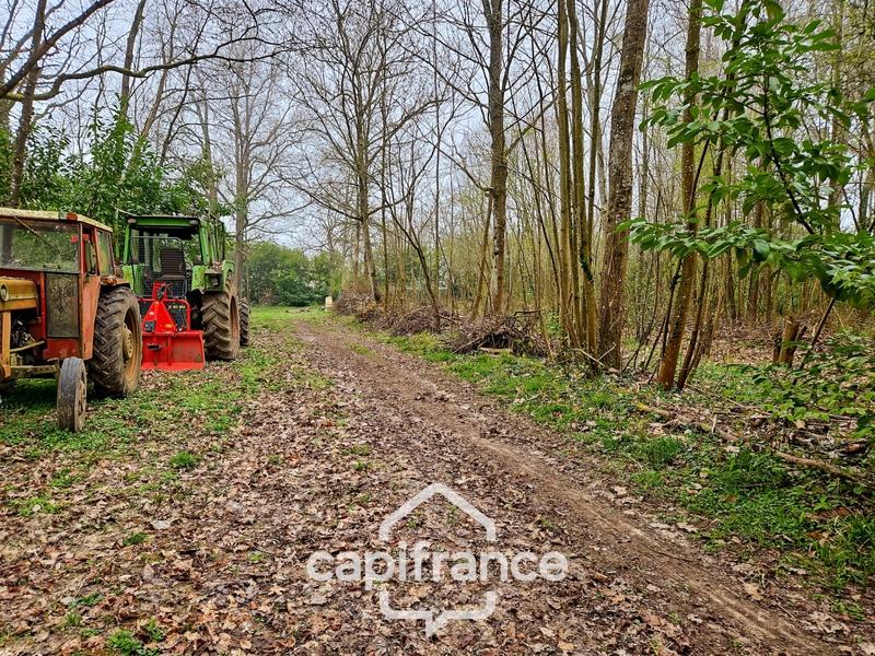 Terrain de loisirs - 96 594 m²