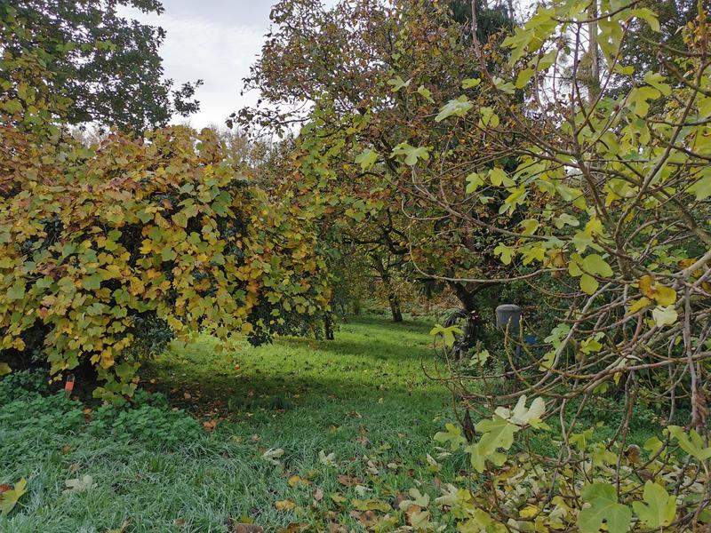 Maison - 119 m² - 5 pièces