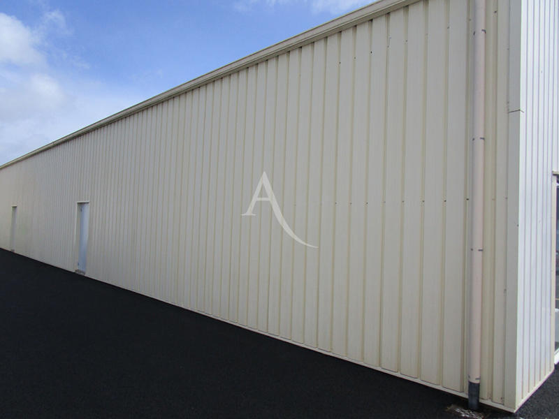 Local commercial - 187 m²