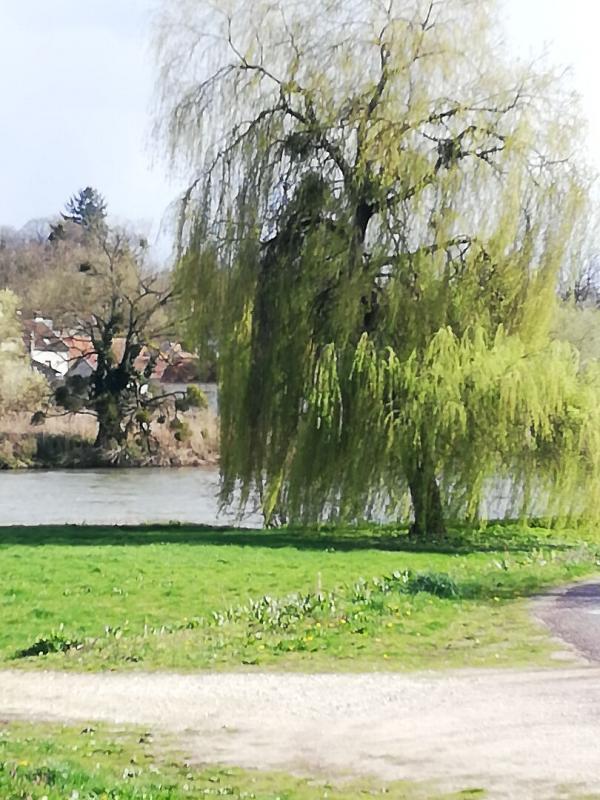 Maison - 380 m² - 11 pièces