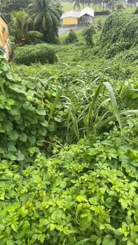 Terrain constructible - 688 m²