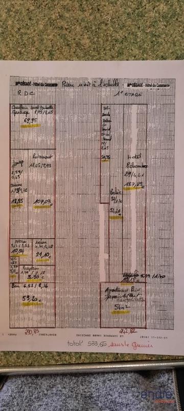 Maison bourgeoise - 570 m² - 17 pièces