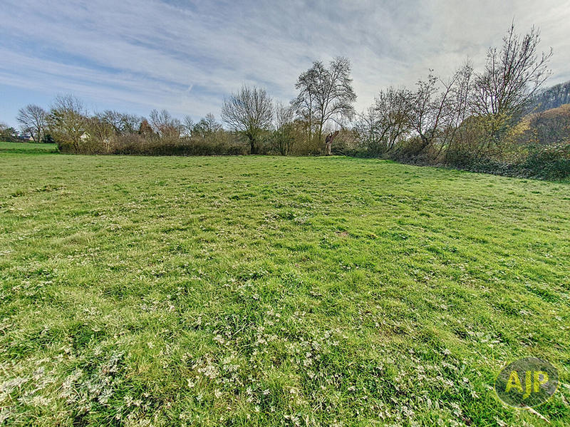 Terrain - 11 502 m²