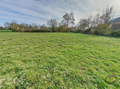 Terrain - 11 502 m²