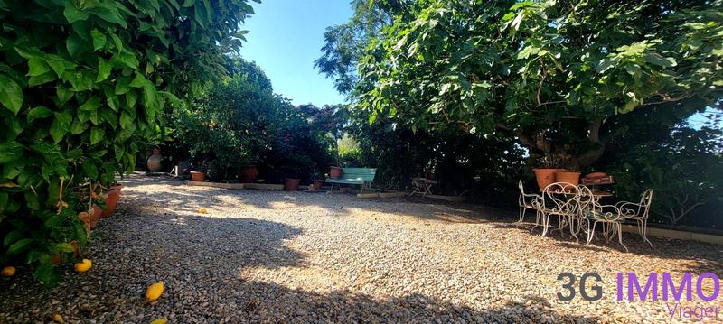 Viager - Maison - 300 m² - 8 pièces