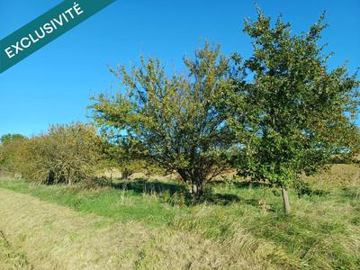 Terrain agricole - 1 699 m²