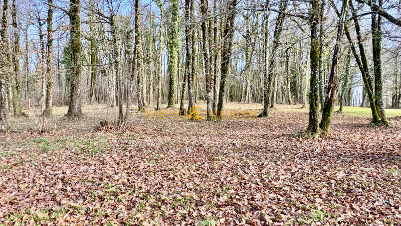 Maison - 246 m² - 6 pièces