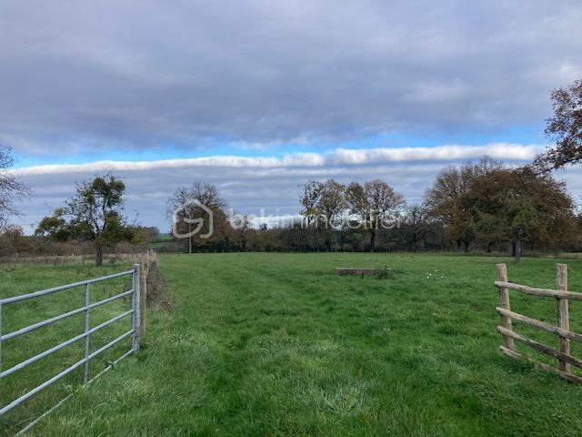 Longère - 190 m² - 7 pièces