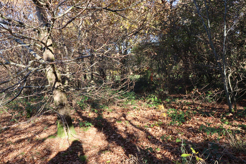 Maison - 45 m² - 1 pièce