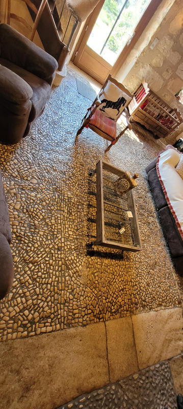 Viager - Maison - 515 m² - 17 pièces