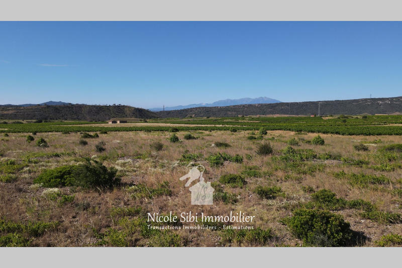 Terrain agricole - 7 960 m²