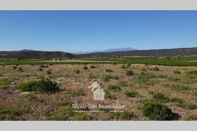 Terrain agricole - 7 960 m²