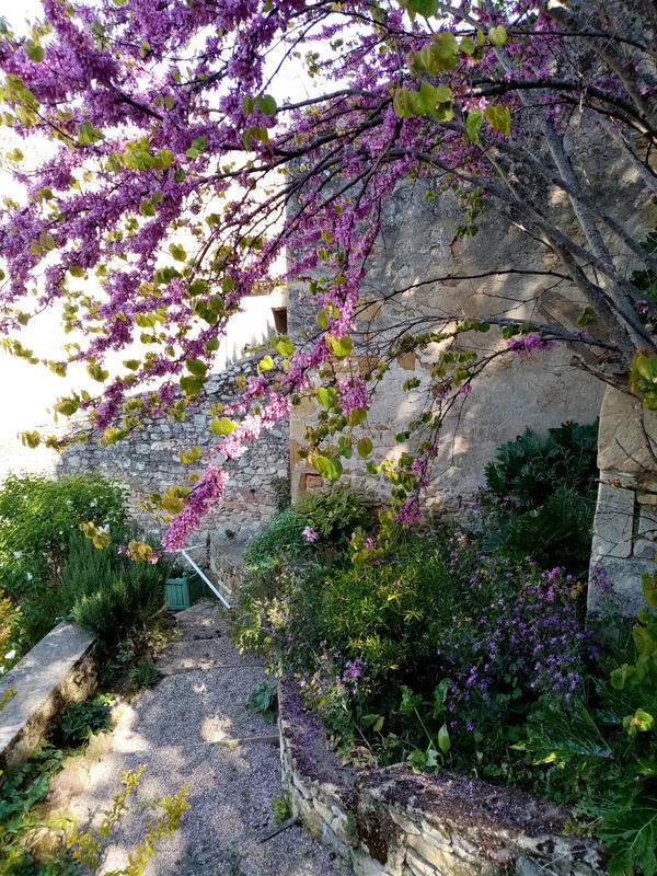 Maison - 300 m² - 9 pièces