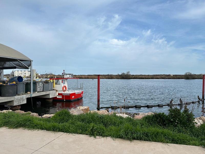 Maison - 85 m² - 3 pièces