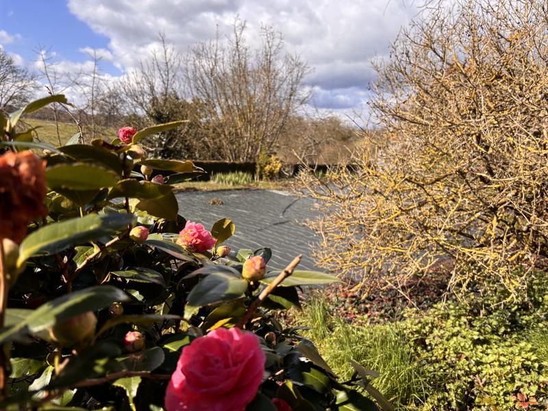 Maison - 80 m² - 5 pièces