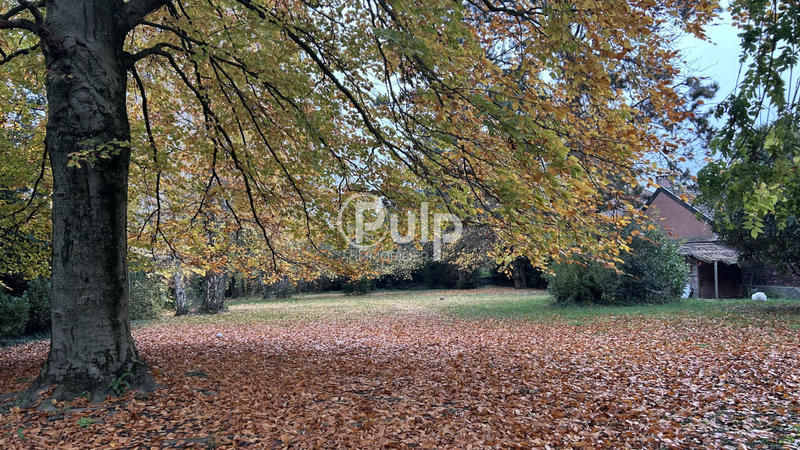 Maison bourgeoise - 358 m² - 11 pièces