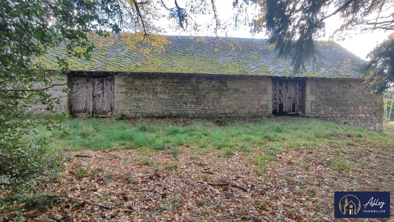 Maison ancienne - 172 m² - 9 pièces