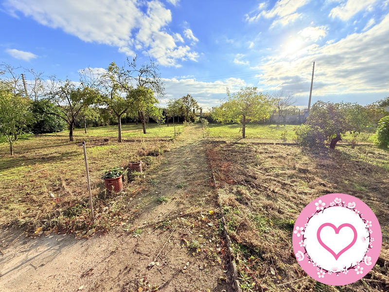 Maison - 133 m² - 6 pièces