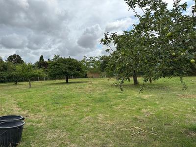 Terrain constructible - 1 000 m²